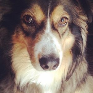 Meet your Posher, Akasha